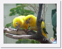 Tulsa Zoo * (67 Slides)